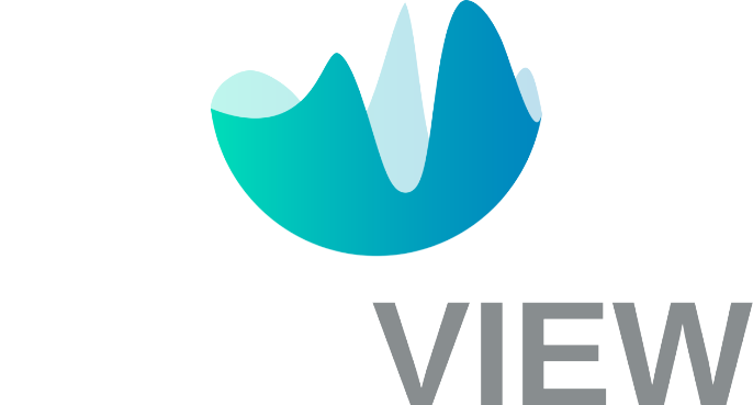 dataview logo