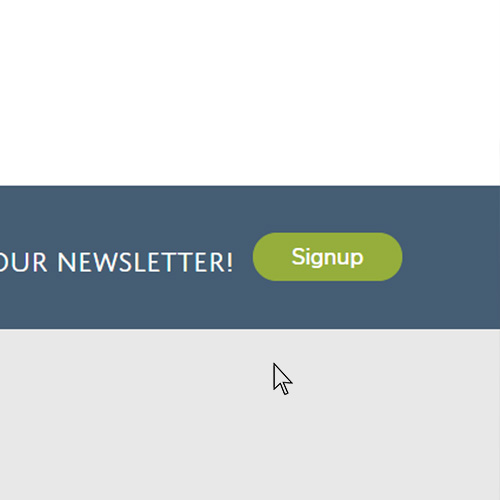 news letter signup button